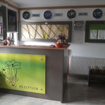 Nucsoara  Nut House Retezat酒店 外观 照片